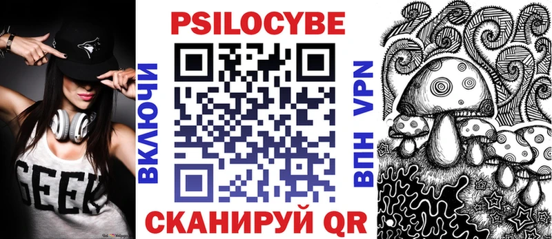 сколько стоит  Покачи  mega как зайти  Псилоцибиновые грибы Psilocybe 
